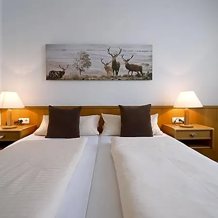 Hotel Donnici Im Schwyzerhüsli Viernheim