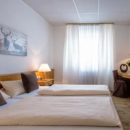 Hotel-restaurant Schwyzerhuesli Hotel Viernheim