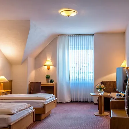 Hotel-restaurant Schwyzerhuesli 3* Viernheim