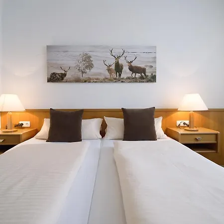 Hotel-restaurant Schwyzerhuesli Viernheim