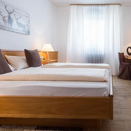 Hotel-restaurant Schwyzerhuesli 3* Viernheim